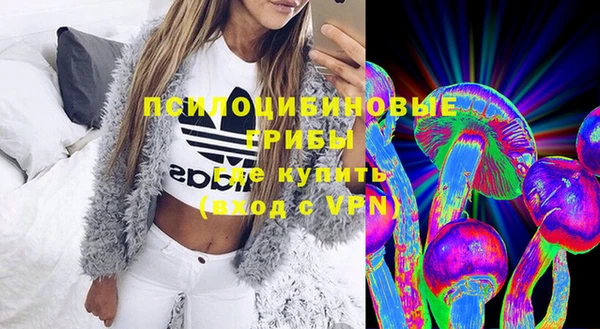 ешки Абаза