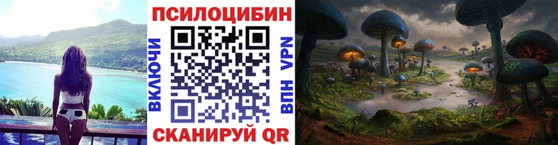 площадка формула  где найти наркотики  Старая Русса  Псилоцибиновые грибы GOLDEN TEACHER 